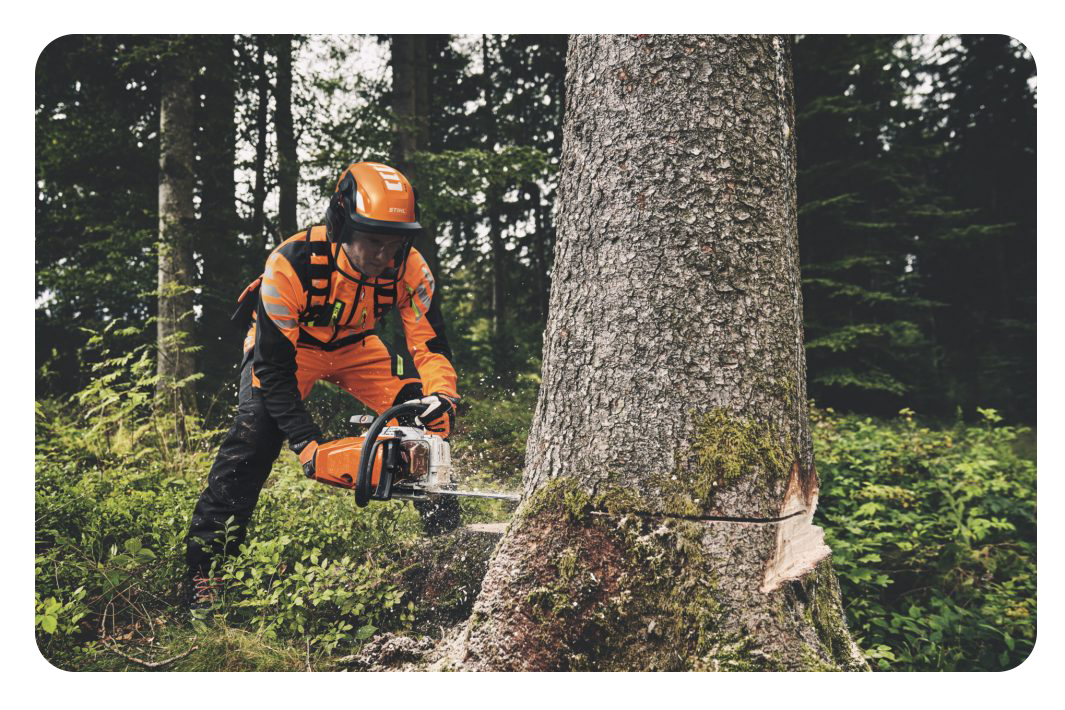 MS 162 Stihl